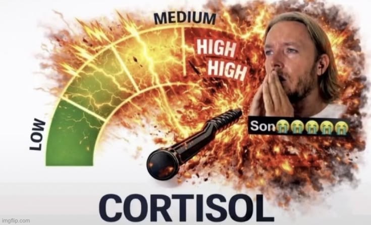 son (high cortisol) | image tagged in son high cortisol | made w/ Imgflip meme maker