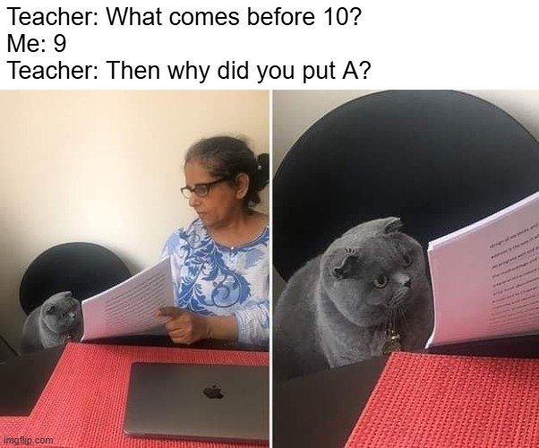 BRRRRRRRRRRT | Teacher: What comes before 10?
Me: 9
Teacher: Then why did you put A? | image tagged in woman showing paper to cat | made w/ Imgflip meme maker