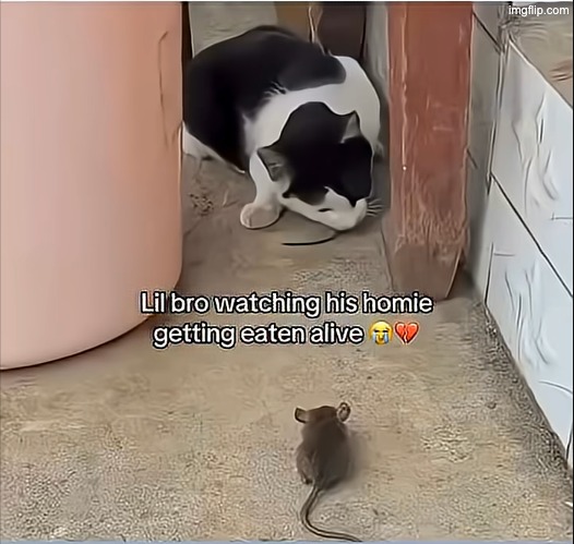 wilted rose emoji | image tagged in bro actually read the tags | made w/ Imgflip meme maker