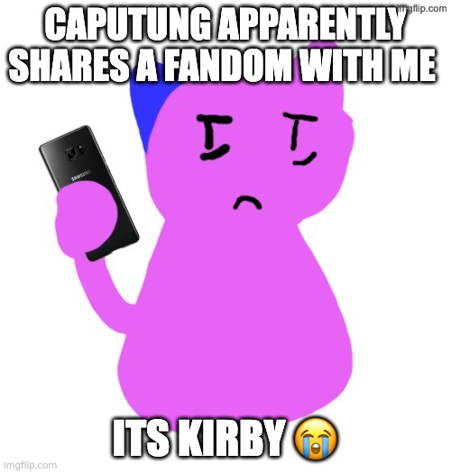 WHY | CAPUTUNG APPARENTLY SHARES A FANDOM WITH ME; ITS KIRBY 😭 | image tagged in done with life | made w/ Imgflip meme maker