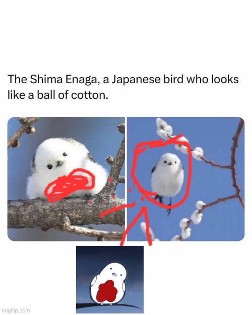 500 breaches | made w/ Imgflip meme maker