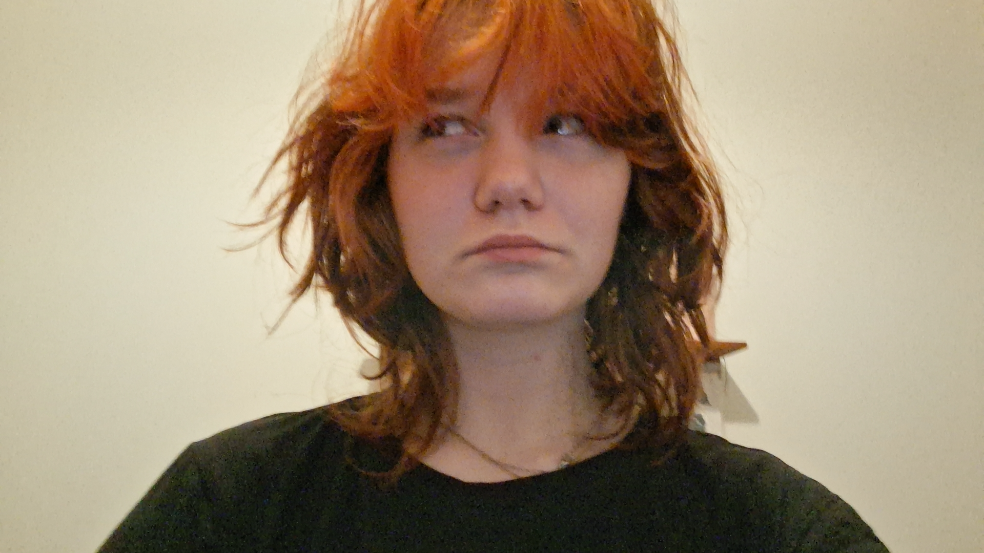 High Quality Fun fact of the day! Blank Meme Template