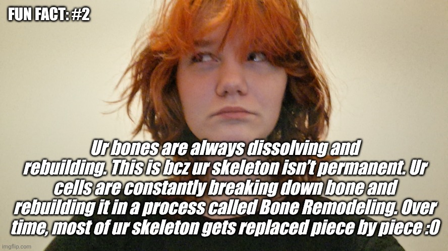 Fun fact of the day! | FUN FACT: #2; Ur bones are always dissolving and rebuilding. This is bcz ur skeleton isn’t permanent. Ur cells are constantly breaking down bone and rebuilding it in a process called Bone Remodeling. Over time, most of ur skeleton gets replaced piece by piece :0 | image tagged in fun fact of the day | made w/ Imgflip meme maker