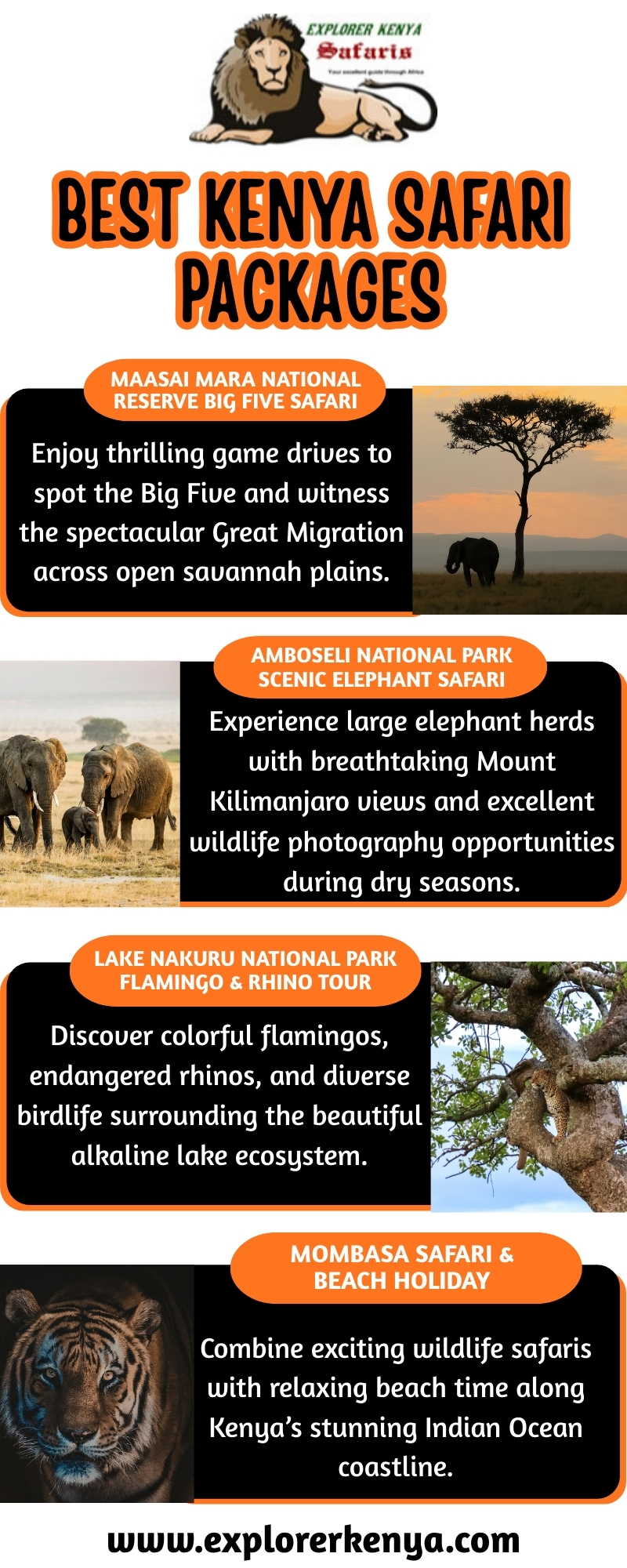 Best Kenya Safari Packages Blank Meme Template