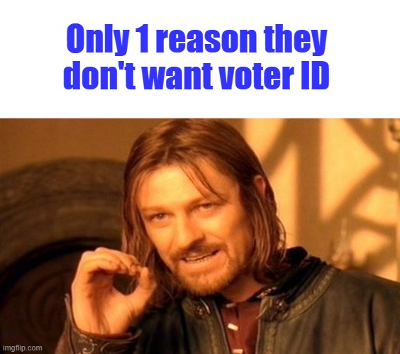 They know its the only way they can win. | Only 1 reason they don't want voter ID | image tagged in memes,one does not simply | made w/ Imgflip meme maker