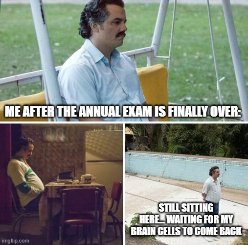 finally. | ME AFTER THE ANNUAL EXAM IS FINALLY OVER:; STILL SITTING HERE... WAITING FOR MY BRAIN CELLS TO COME BACK | image tagged in memes,sad pablo escobar | made w/ Imgflip meme maker