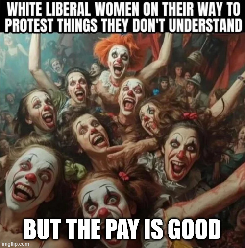 BUT THE PAY IS GOOD | made w/ Imgflip meme maker