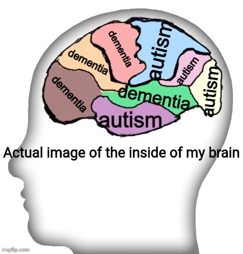 dementia dementia dementia dementia autism autism autism autism | image tagged in actual image of the inside of my brain | made w/ Imgflip meme maker
