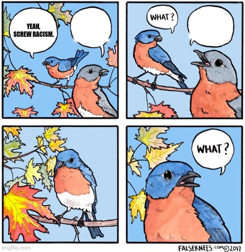 Read the image description down below. I've done something like this before with the Drake meme. | I DON'T WANT TO BE WHITE. BECAUSE NO ONE CAN READ MY WORDS. YEAH, SCREW RACISM. | image tagged in what bird | made w/ Imgflip meme maker