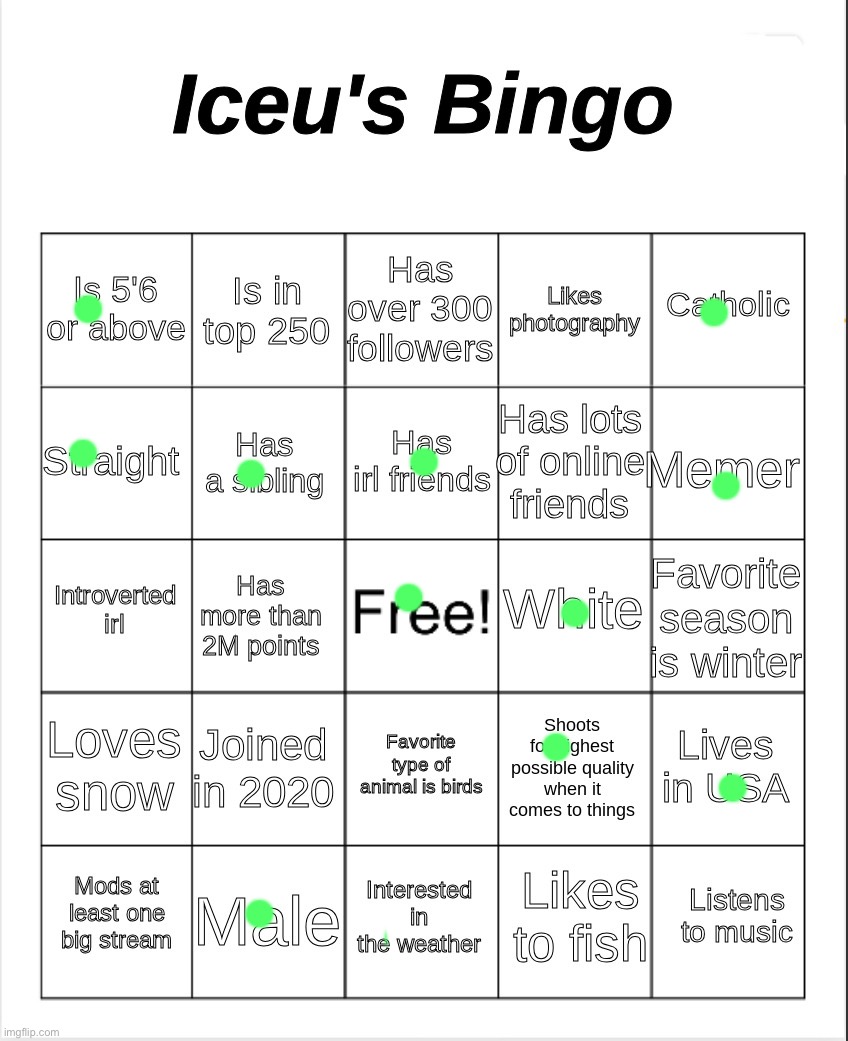 Iceu's Bingo | image tagged in iceu's bingo,msmg | made w/ Imgflip meme maker