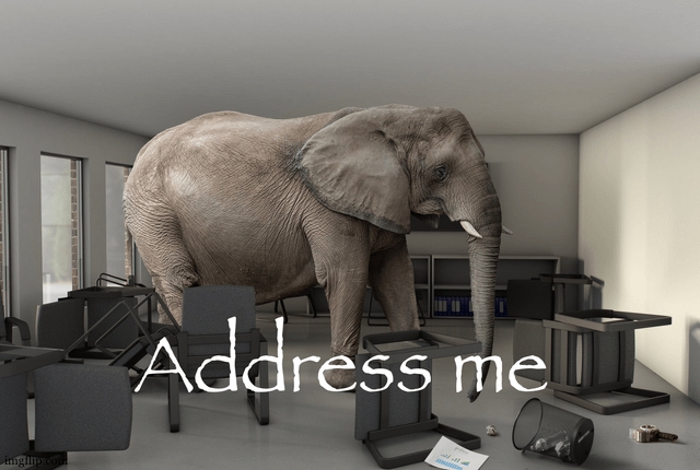 Adress Me Elephant | image tagged in adress me elephant | made w/ Imgflip meme maker