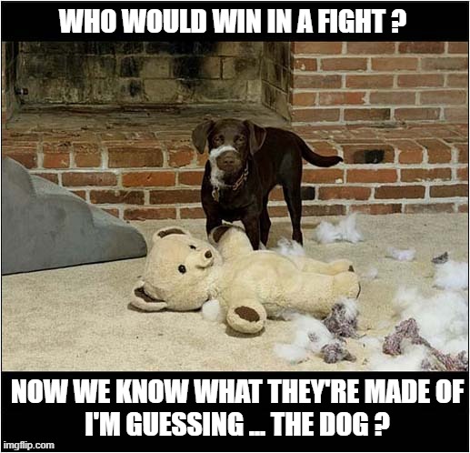Dog Vs Teddy Bear | WHO WOULD WIN IN A FIGHT ? NOW WE KNOW WHAT THEY'RE MADE OF
I'M GUESSING ... THE DOG ? | image tagged in dogs,teddy bear,fight | made w/ Imgflip meme maker