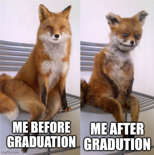 Fox before after | ME AFTER GRADUTION; ME BEFORE GRADUATION | image tagged in fox before after | made w/ Imgflip meme maker