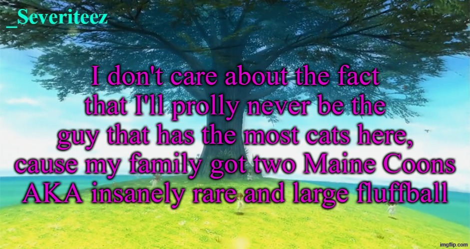 And also three less special cats | I don't care about the fact that I'll prolly never be the guy that has the most cats here, cause my family got two Maine Coons AKA insanely rare and large fluffball | image tagged in severiteez majoras mask announcement template | made w/ Imgflip meme maker