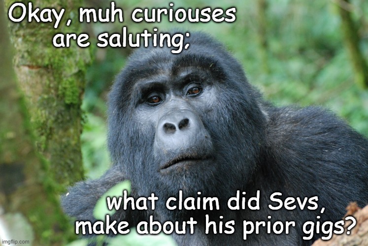 curious gorilla | Okay, muh curiouses
are saluting; what claim did Sevs, make about his prior gigs? | image tagged in curious gorilla | made w/ Imgflip meme maker