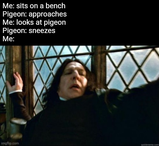 Snape | Me: sits on a bench
Pigeon: approaches
Me: looks at pigeon 
Pigeon: sneezes
Me: | image tagged in memes,snape | made w/ Imgflip meme maker