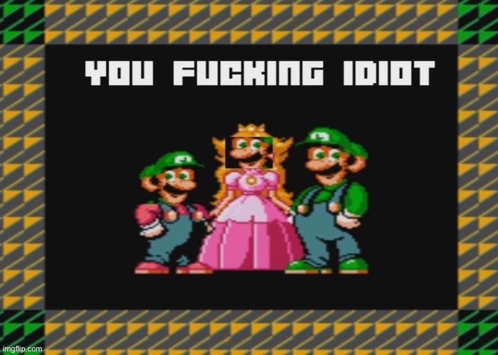 YOU FUCKING IDIOT | image tagged in you fucking idiot | made w/ Imgflip meme maker