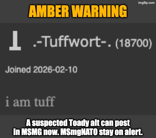 AMBER WARNING; A suspected Toady alt can post in MSMG now. MSmgNATO stay on alert. | made w/ Imgflip meme maker