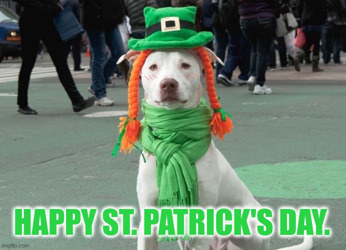 Happy St. Patrick's Day. | HAPPY ST. PATRICK'S DAY. | image tagged in st patrick's day | made w/ Imgflip meme maker