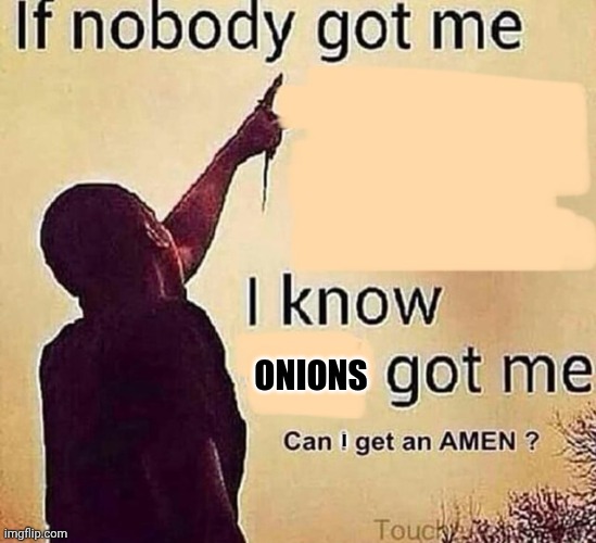 Onions got me | ONIONS; I | image tagged in if nobody got me blank,onion,onions,memes,meme,vegetable | made w/ Imgflip meme maker