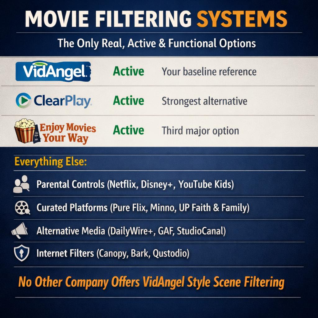 3. Across the world, there are very few true movie filtering sys Blank Meme Template