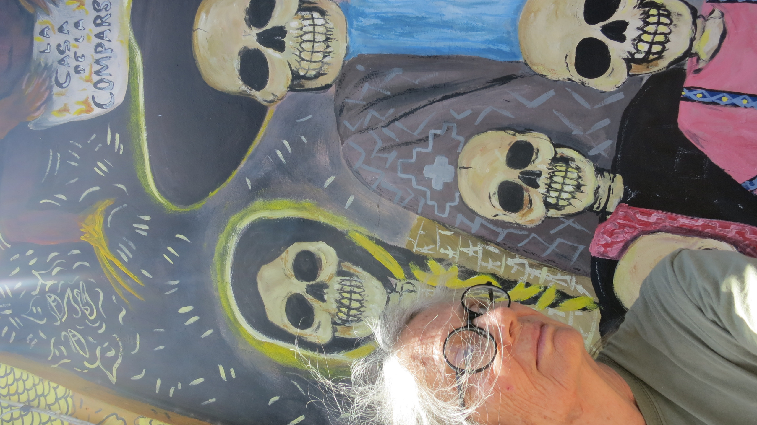 Skulls Blank Meme Template