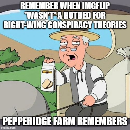 And nobody will even admit it's become a hotbed for Right-Wing conspiracy theories.... | REMEMBER WHEN IMGFLIP *WASN'T* A HOTBED FOR RIGHT-WING CONSPIRACY THEORIES; PEPPERIDGE FARM REMEMBERS | image tagged in memes,pepperidge farm remembers,right wing,right-wing,imgflip,imgflip community | made w/ Imgflip meme maker