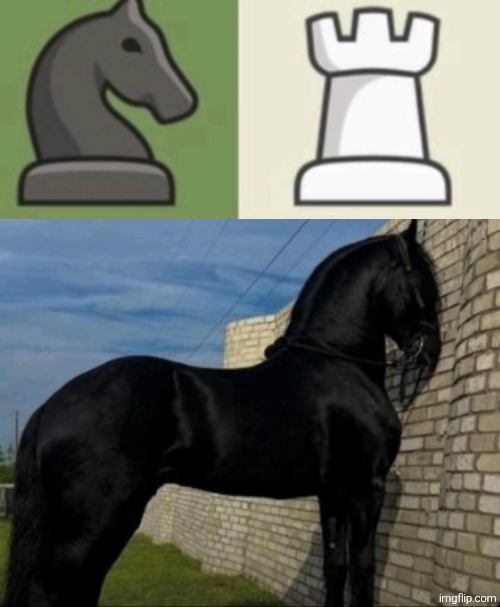 Horse | image tagged in memes,meme,funny,funny meme,funny memes | made w/ Imgflip meme maker