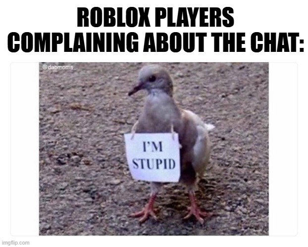 bigger fish to fry here | ROBLOX PLAYERS COMPLAINING ABOUT THE CHAT: | image tagged in roblox,idiocy | made w/ Imgflip meme maker