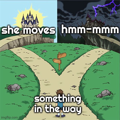 I hope someone understands the joke | hmm-mmm; she moves; something in the way | image tagged in two paths | made w/ Imgflip meme maker