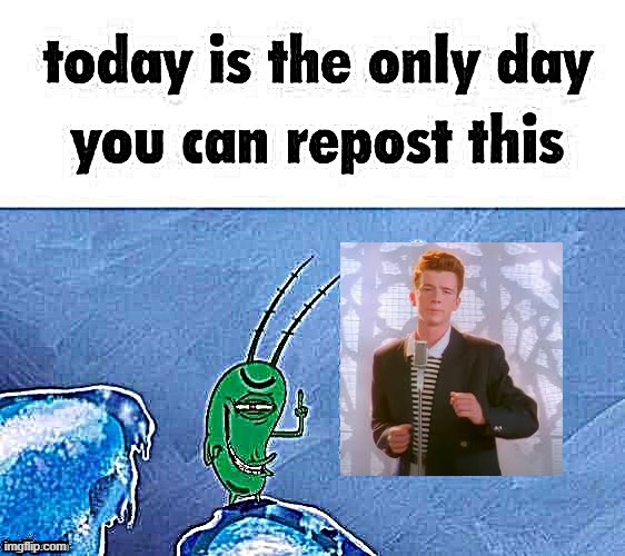 why not? | image tagged in march 14,never gonna give you up | made w/ Imgflip meme maker