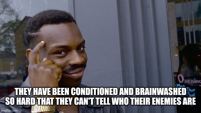 Roll Safe Think About It Meme | THEY HAVE BEEN CONDITIONED AND BRAINWASHED SO HARD THAT THEY CAN'T TELL WHO THEIR ENEMIES ARE | image tagged in memes,roll safe think about it | made w/ Imgflip meme maker