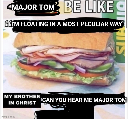 twin your circut dead there's something wrong </3 | MAJOR TOM; I'M FLOATING IN A MOST PECULIAR WAY; CAN YOU HEAR ME MAJOR TOM | image tagged in my brother in christ subway | made w/ Imgflip meme maker