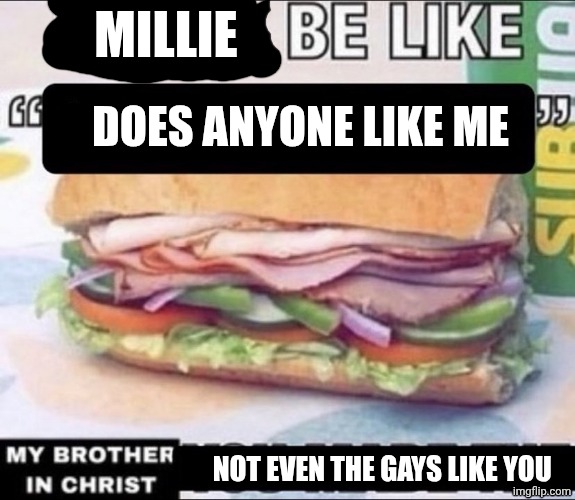Dudes Be Like X My Brother in Christ Y | MILLIE; DOES ANYONE LIKE ME; NOT EVEN THE GAYS LIKE YOU | image tagged in dudes be like x my brother in christ y | made w/ Imgflip meme maker