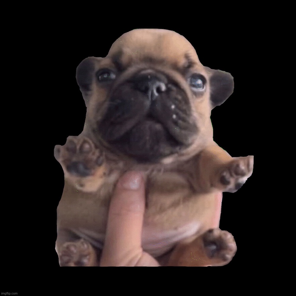 pibble | image tagged in pibble | made w/ Imgflip meme maker