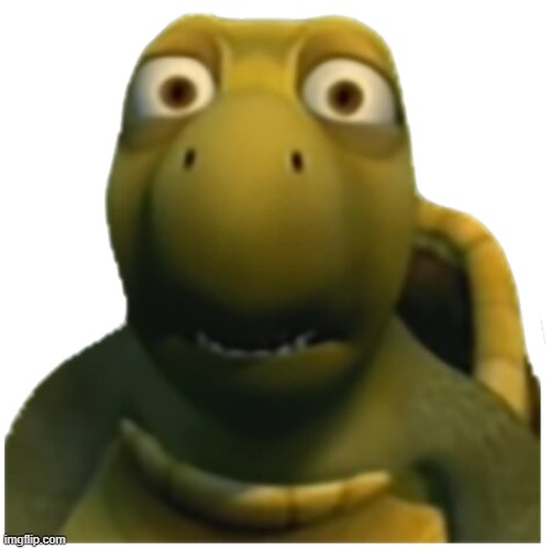 image tagged in augh turtle | made w/ Imgflip meme maker