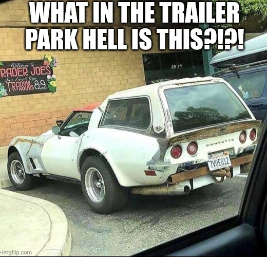 What In The Trailer Park Hell Is This? | WHAT IN THE TRAILER PARK HELL IS THIS?!?! | image tagged in chrisjoines1 | made w/ Imgflip meme maker