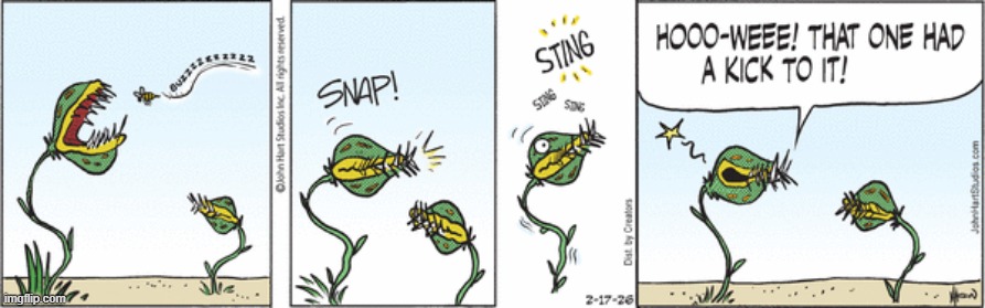 BC | image tagged in comics | made w/ Imgflip meme maker