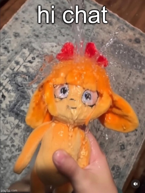 mymy showe | hi chat | image tagged in mymy showe | made w/ Imgflip meme maker