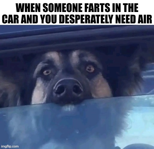 When Someone Farts In The Car | WHEN SOMEONE FARTS IN THE CAR AND YOU DESPERATELY NEED AIR | image tagged in chrisjoines1 | made w/ Imgflip meme maker