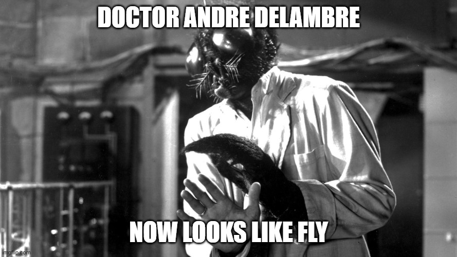 fly 1958 monster now andre delambre | DOCTOR ANDRE DELAMBRE; NOW LOOKS LIKE FLY | image tagged in fly monster | made w/ Imgflip meme maker