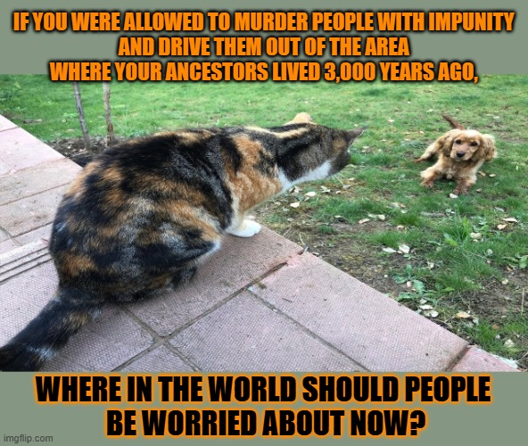 This #lolcat wonders why hoo-mens kill each other based on their ancestors' habitat | IF YOU WERE ALLOWED TO MURDER PEOPLE WITH IMPUNITY 
AND DRIVE THEM OUT OF THE AREA 
WHERE YOUR ANCESTORS LIVED 3,000 YEARS AGO, WHERE IN THE WORLD SHOULD PEOPLE
 BE WORRIED ABOUT NOW? | image tagged in murder,ancestors,zionism,lolcat | made w/ Imgflip meme maker