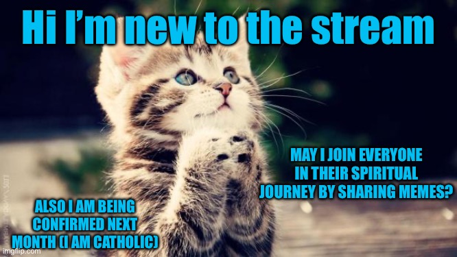 Hi :) | Hi I’m new to the stream; MAY I JOIN EVERYONE IN THEIR SPIRITUAL JOURNEY BY SHARING MEMES? ALSO I AM BEING CONFIRMED NEXT MONTH (I AM CATHOLIC) | image tagged in praying cat | made w/ Imgflip meme maker