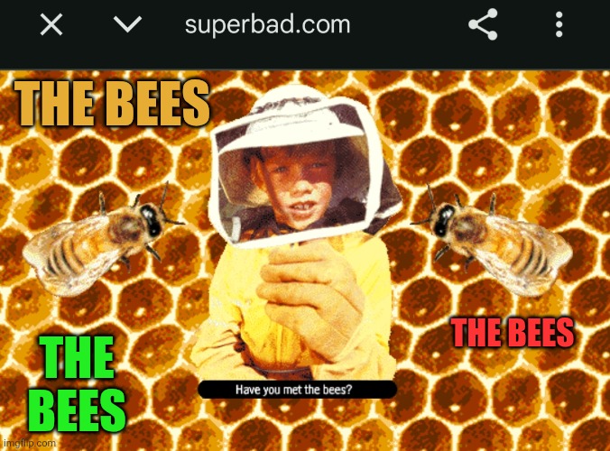 Have you met the bees? | THE BEES; THE BEES; THE BEES | image tagged in bees,buzz,zzzzz,have you met them,the beeeeees,are you seriously reading this | made w/ Imgflip meme maker