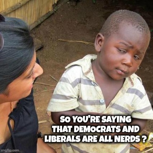 Third World Skeptical Kid Meme | SO YOU'RE SAYING THAT DEMOCRATS AND LIBERALS ARE ALL NERDS ? | image tagged in memes,third world skeptical kid | made w/ Imgflip meme maker