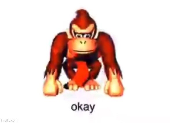 okay donkey kong | image tagged in okay donkey kong | made w/ Imgflip meme maker