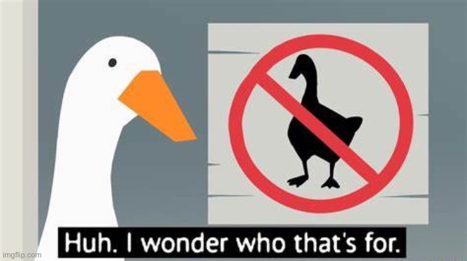 Goose Wonder | image tagged in goose wonder | made w/ Imgflip meme maker