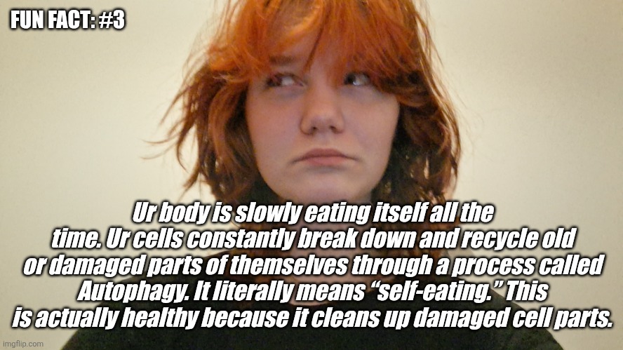 Fun fact of the day! | FUN FACT: #3; Ur body is slowly eating itself all the time. Ur cells constantly break down and recycle old or damaged parts of themselves through a process called Autophagy. It literally means “self-eating.” This is actually healthy because it cleans up damaged cell parts. | image tagged in fun fact of the day | made w/ Imgflip meme maker