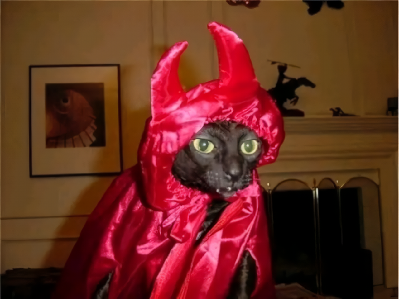 Devil's Cat Blank Meme Template