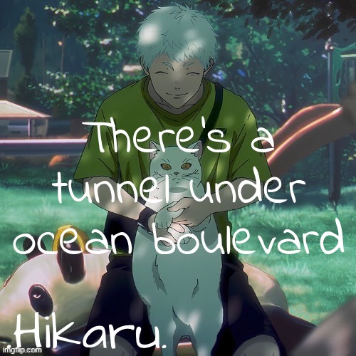 dai hikaru temp | There's a tunnel under ocean boulevard | image tagged in dai hikaru temp | made w/ Imgflip meme maker